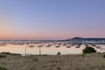Parc à huitre et vue sur Sète
