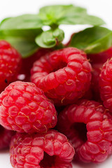 Maliny © Grzegorz Targosz