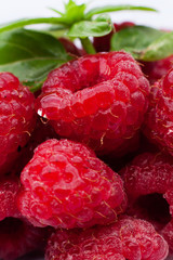 Maliny © Grzegorz Targosz