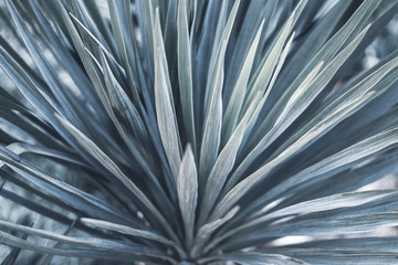 Green tropical plants on flowerbed in city