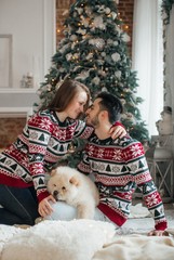 Beautiful new-year portrait of the young falling in love together with the dog of чаучау in Christmas decorations