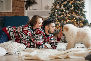 Beautiful new-year portrait of the young falling in love together with the dog of чаучау in Christmas decorations