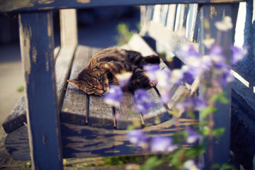 She is enjoyin the sunshine and life