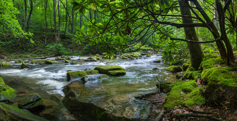 Fototapeta na wymiar Rapids on Little Stony Creek near Pembroke, Virginia, from along the Cascades National Recreational Trail.