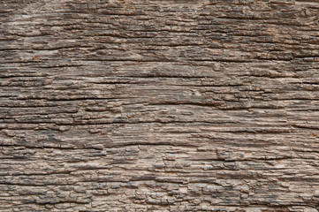Texture of old wood