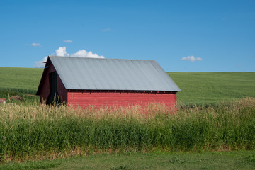 Old red barn in the middle of a field in the Palouse region of Eastern Washington State