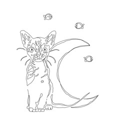 Vector hand drawn illustration. Cat and the moon, dreaming of fishes/ night