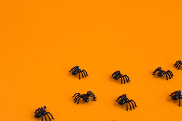 Fototapeta premium Halloween Traditional halloween background with spiders. Place for text. Black spiders on an orange background.