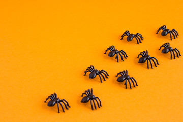Halloween Traditional halloween background with spiders. Place for text. Black spiders on an orange background.
