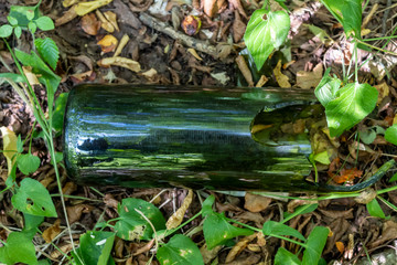 Glass Bottle Thrown Away in Forest, Problem in The Natural Environment, Copy Space
