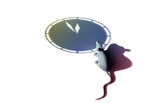 Symbol of the year, a rat or mouse sits next to the shadowy silhouette of a New Year or Christmas watch. Hard shadows, tinted. Minutes before the New Year, minimal style, layout, postcard, copy space.