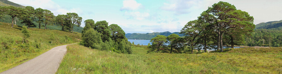 Fototapeta na wymiar Loch Affric Panorama Schottland