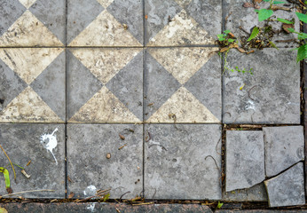 Vintage cracked brickwork floor with natural trash, dirt and some grass