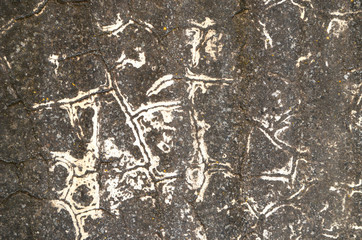 Steel grey background, stylish cover,photo