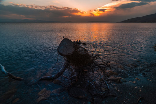 Old stump in the lake after beautiful sunset. Long exposure. Sevan lake Armenia.