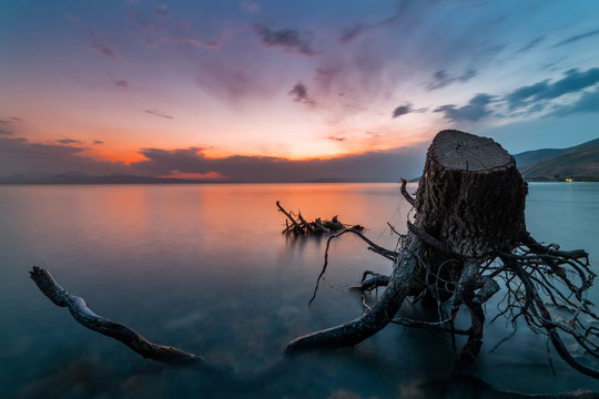 Old stump in the lake after beautiful sunset. Long exposure. Sevan lake Armenia.