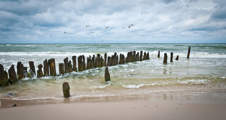 falochron morze mewy chmury © motke