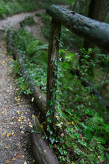 The caves of Zugarramurdi, Navarra