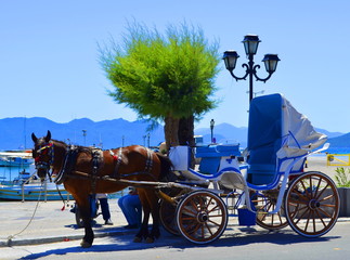 Aegina island - vintage horse carriage -capital of the island