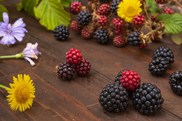 black and red berries with purple and yellow flowers