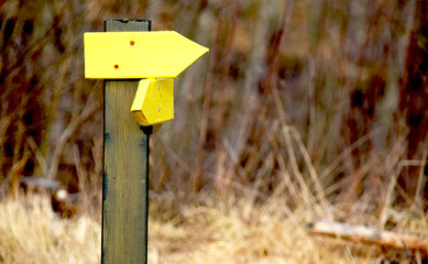 Wooden yellow sign on a signpost outdoors