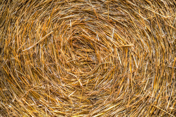hay bale background