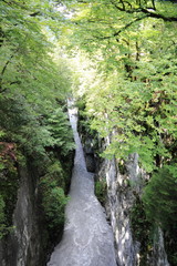 Gorges des Tines à Sixt-Fer-à-Cheval