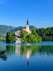 Fototapeta na wymiar Picturesque view of the island on Lake Bled with Pilgrimage Church of the Assumption of Maria with reflection.