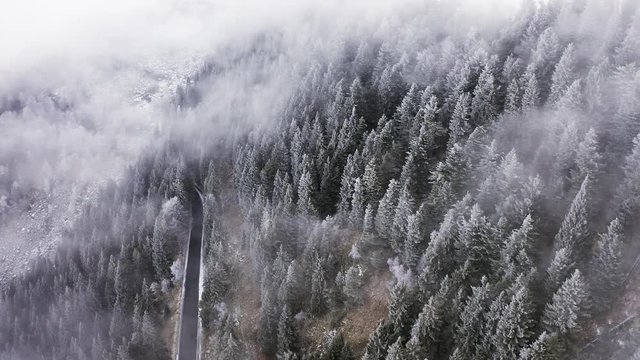Road near snowy pine woods backward aerial in cloudy bad weather.Foggy mountain forest with ice frost covered trees in Winter drone flight establisher.