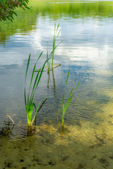 Krakower See, Krakow am See, Mecklenburgische Seenplatte
