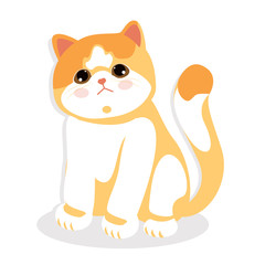 Exotic shorthair cat, sitting isolated. little sweet kitty. background vector illustration