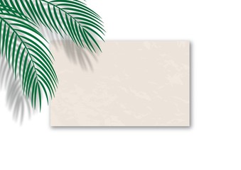 Fototapeta na wymiar Vector template with parchment paper and palm leaves overlay shadow. Trendy mockup with tropical leaves shadow. Natural abstract background with copy space for text, offers, sale, advertising.