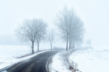 Allee im Winter in Masuren