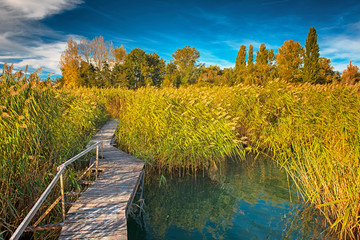 Nice autumnal scene at lake Balaton