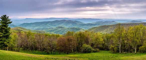 View from Skyline Drive, in Shenandoah National Park, of the nearby Blue Ridge forest, the Shenandoah Valley, and the distant Appalachian Highlands.