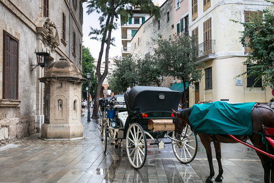 Tourist chariot in the old city of Palma de Mallorca