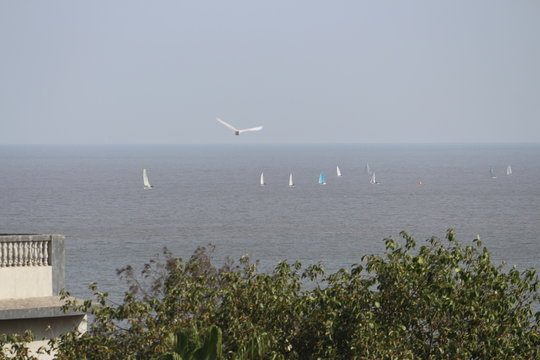 sea and the sailing yacht