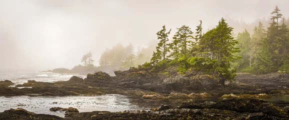 Foto op Plexiglas Mistige kustlijn van Botany Bay aan de westkust van Vancouver Island, British Columbia, Canada, met zon die door de mist begint te snavelen. © Gerry