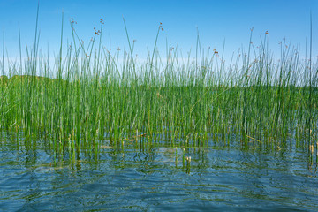Obraz premium Krakower See, Krakow am See, Mecklenburgische Seenplatte