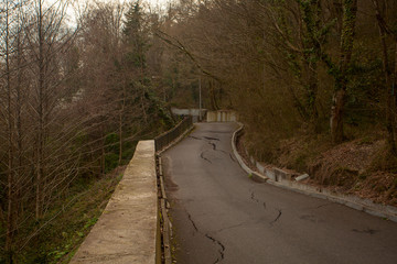 photo of gray cracked asphalt pavement