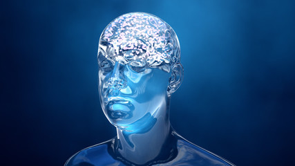 Neuronal connections in the brain