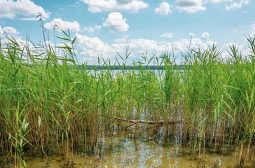 Plauer See, Mecklenburgische Seenplatte