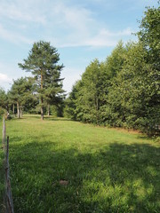 Fasshotel an den Schwarzrinderseen