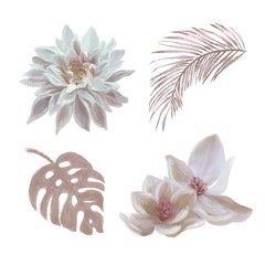 Hand drawn Beige brown and white flowers with palm leaves on white background isolated. Floral set. Dahlia, magnolia, monstera leaf, Areca palm leaf