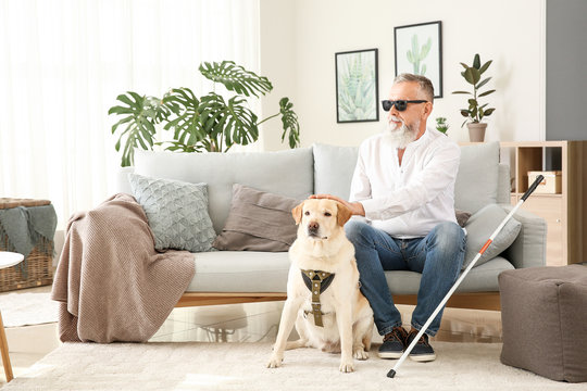 Blind mature man with guide dog at home
