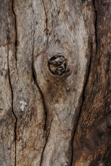 Fototapeta premium The black ground of wood