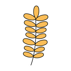 Isolated leaves vector design