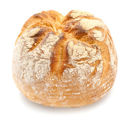 Tasty bread on white background