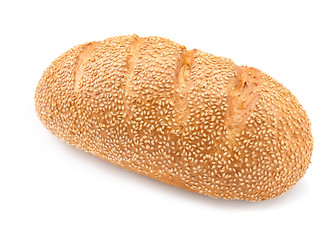 Tasty bread on white background