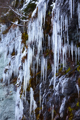 Nice big icicles in the mountains, close up.